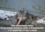 uploadfromtaptalk1472209157552.jpeg