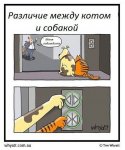 uploadfromtaptalk1472209267495.jpeg