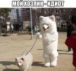 uploadfromtaptalk1472209462538.jpeg