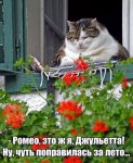 image.jpeg