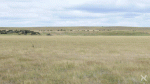 1469952523-e7e0c7f5cbf163d92d73c7cca92cd5a7.gif