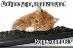 uploadfromtaptalk1472737941434.jpeg