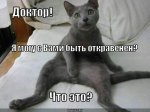 uploadfromtaptalk1472737957881.jpeg
