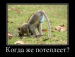 uploadfromtaptalk1472738991856.jpeg