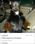 nadpisi-27082016-023.jpg