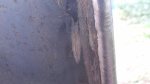 MVI_8122[00-44-56].jpg