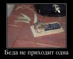 bd6aaadc6a6d.jpg