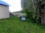 20160518_200419.jpg