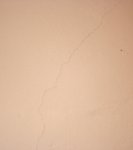IMG_7976.JPG