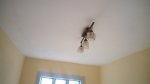 IMG_20160819_173006.jpg