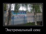 63f1fcd70254.jpg