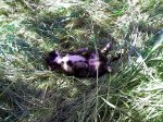 IMG_20160908_195654.JPG
