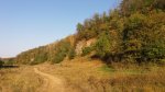 20160910_174312.jpg