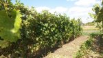 20160917_133917.jpg