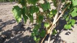 20160917_135538.jpg