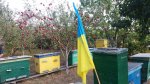 20160917_141311.jpg