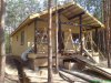 DSC01826.jpg