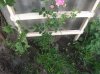 DSCF9578.JPG