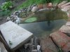 DSCF9576.JPG