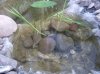 DSCF9579.JPG