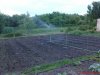 DSC00923.jpg