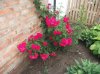 DSCF9554.JPG