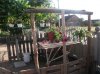DSCF9637.JPG