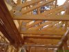 DSC01818.jpg