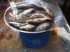 DSCF9652.JPG
