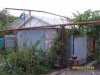 SDC12842.jpg