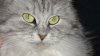 DSC03957.jpg