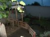 DSCF9657.JPG