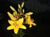 DSCF9659.JPG