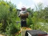 DSC00968.jpg