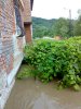 080720101862.jpg