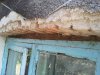 2011-07-18 15.04.47.jpg