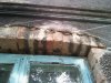 2011-07-21 18.51.06.jpg