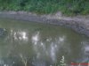 DSC00990.jpg