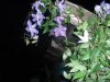 DSCF9736.jpg