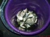 DSC01002.jpg