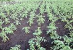IMG_1091.JPG