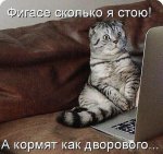 image (2).jpg