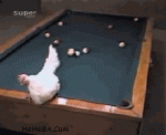 888.gif