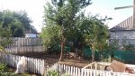 20160925_095123.jpg