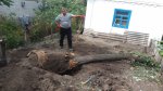 20160925_134125.jpg