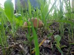 20160517_130354.jpg