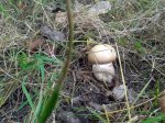 20160920_144817.jpg