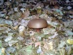 20160920_171452.jpg