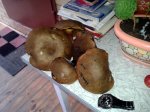20160920_173828.jpg