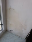 20160424_103512.jpg
